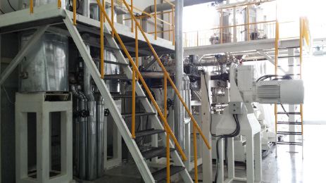 2011 twin screw extruder for BOPET